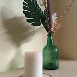 Pura Vida