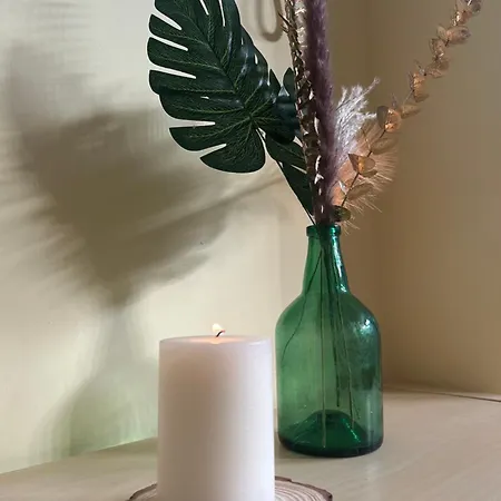 Pura Vida
